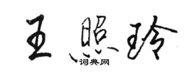 駱恆光王照玲行書個性簽名怎么寫