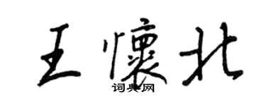王正良王懷北行書個性簽名怎么寫