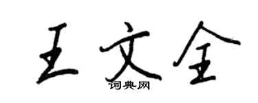 王正良王文全行書個性簽名怎么寫