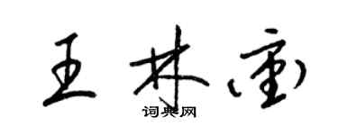 梁錦英王林沖草書個性簽名怎么寫