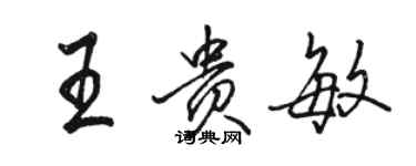 駱恆光王貴敏行書個性簽名怎么寫