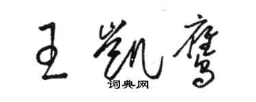 駱恆光王凱鷹草書個性簽名怎么寫