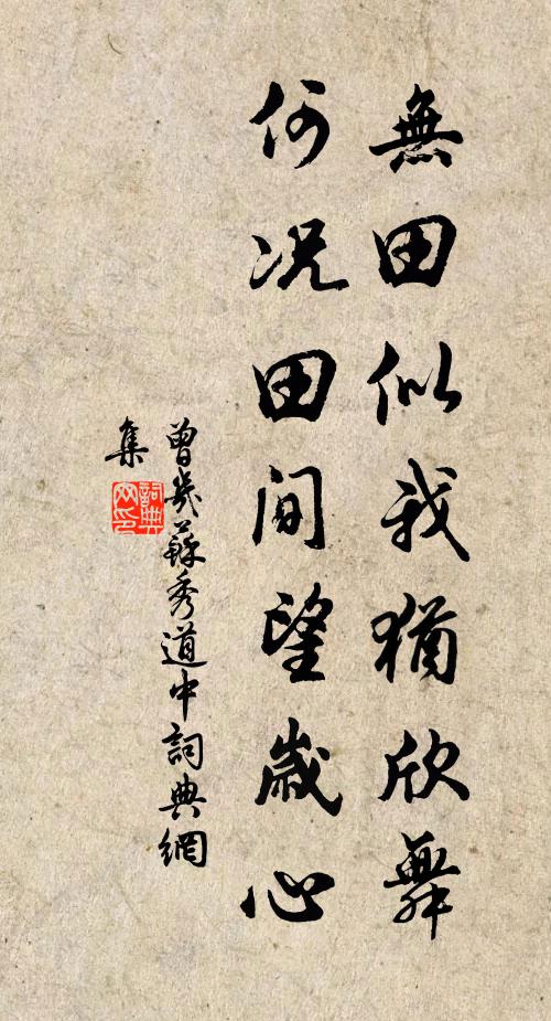 曾幾無田似我猶欣舞,何況田間望歲心。書法作品欣賞