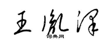 梁錦英王胤澤草書個性簽名怎么寫