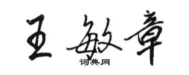 駱恆光王敏章行書個性簽名怎么寫