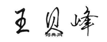 駱恆光王貝峰行書個性簽名怎么寫