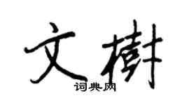王正良文樹行書個性簽名怎么寫