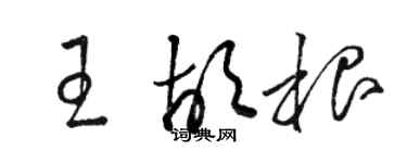 駱恆光王胡根草書個性簽名怎么寫