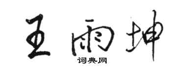駱恆光王雨坤行書個性簽名怎么寫