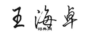 駱恆光王海卓行書個性簽名怎么寫