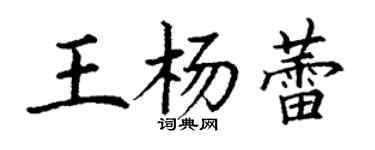 丁謙王楊蕾楷書個性簽名怎么寫