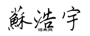 王正良蘇浩宇行書個性簽名怎么寫