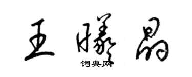 梁錦英王曦晶草書個性簽名怎么寫