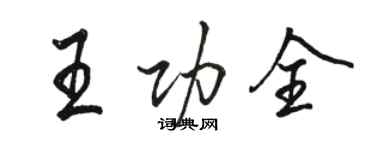 駱恆光王功全行書個性簽名怎么寫