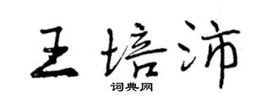 曾慶福王培沛行書個性簽名怎么寫