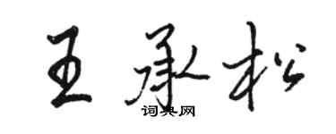 駱恆光王承松行書個性簽名怎么寫