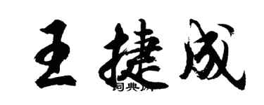 胡問遂王捷成行書個性簽名怎么寫