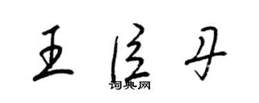 梁錦英王臣丹草書個性簽名怎么寫