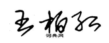 朱錫榮王柏紅草書個性簽名怎么寫