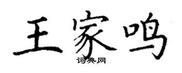 丁謙王家鳴楷書個性簽名怎么寫