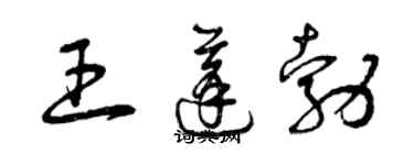 曾慶福王蓬勃草書個性簽名怎么寫