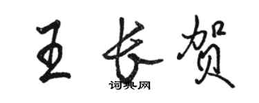 駱恆光王長賀行書個性簽名怎么寫