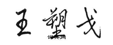 駱恆光王塑戈行書個性簽名怎么寫