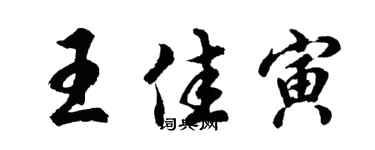 胡問遂王佳寅行書個性簽名怎么寫