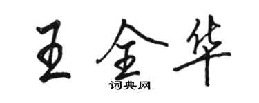 駱恆光王全華行書個性簽名怎么寫