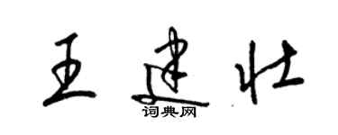 梁錦英王建壯草書個性簽名怎么寫