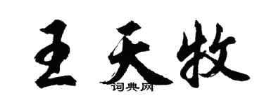 胡問遂王天牧行書個性簽名怎么寫