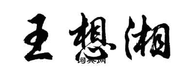 胡問遂王想湘行書個性簽名怎么寫