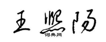 梁錦英王熙陽草書個性簽名怎么寫