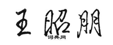 駱恆光王昭朋行書個性簽名怎么寫