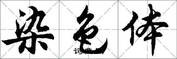 胡問遂染色體行書怎么寫