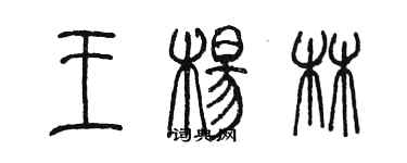 陳墨王楊林篆書個性簽名怎么寫