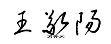 梁錦英王敬陽草書個性簽名怎么寫