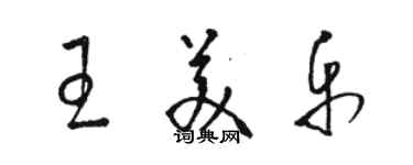 駱恆光王美樂草書個性簽名怎么寫