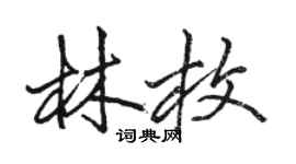 駱恆光林枚行書個性簽名怎么寫