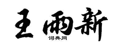胡問遂王雨新行書個性簽名怎么寫
