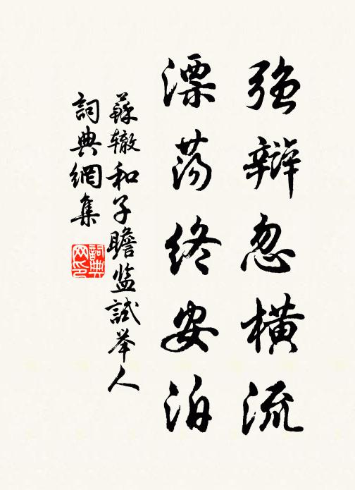 蘇轍強辯忽橫流,漂蕩終安泊書法作品欣賞