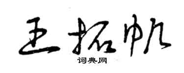 曾慶福王拓帆草書個性簽名怎么寫