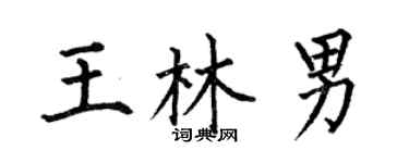 何伯昌王林男楷書個性簽名怎么寫