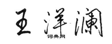 駱恆光王洋瀾行書個性簽名怎么寫