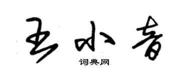 朱錫榮王小音草書個性簽名怎么寫