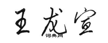 駱恆光王龍宣行書個性簽名怎么寫