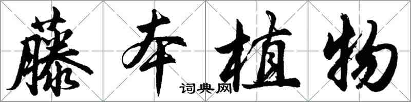 胡問遂藤本植物行書怎么寫