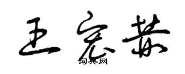 曾慶福王宏赫草書個性簽名怎么寫