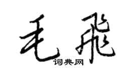 王正良毛飛行書個性簽名怎么寫