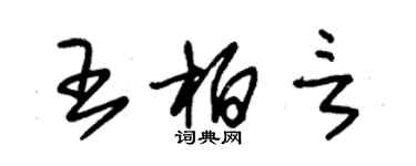 朱錫榮王柏言草書個性簽名怎么寫